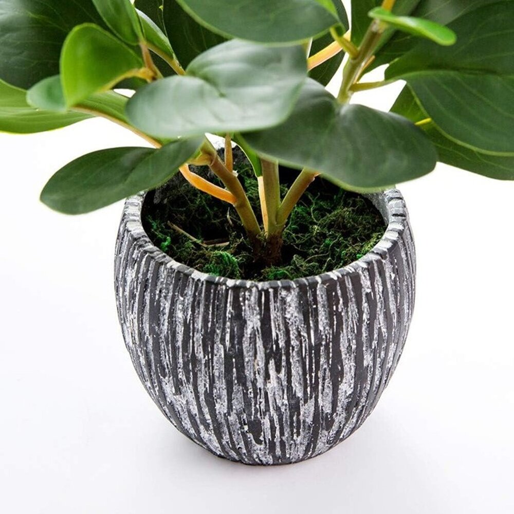 NEW Artificial Plants Real Looking and Touching Fake Plant Evergreen Plastic - Picture 3 of 10